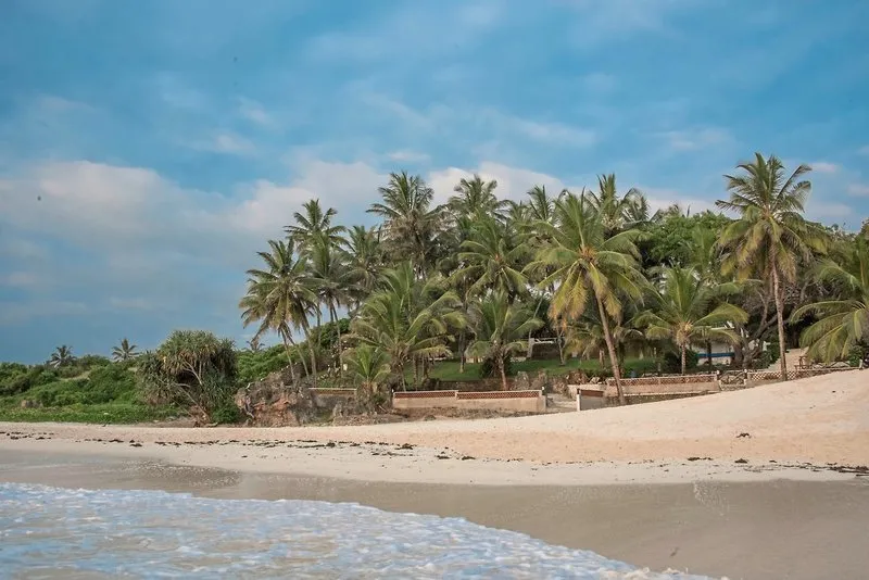 Pogled na peščeno plažo in palme pred lodge