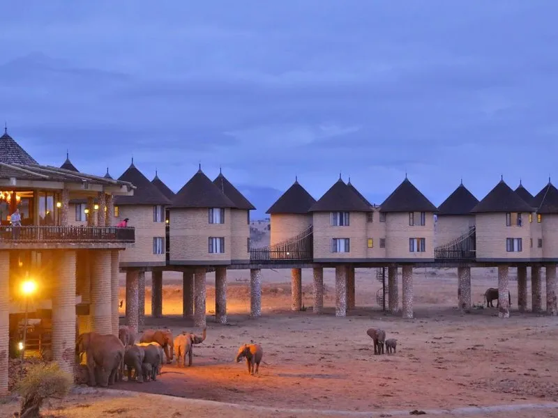 Sloni ob napajališču pred Salt Lick Safari Lodge